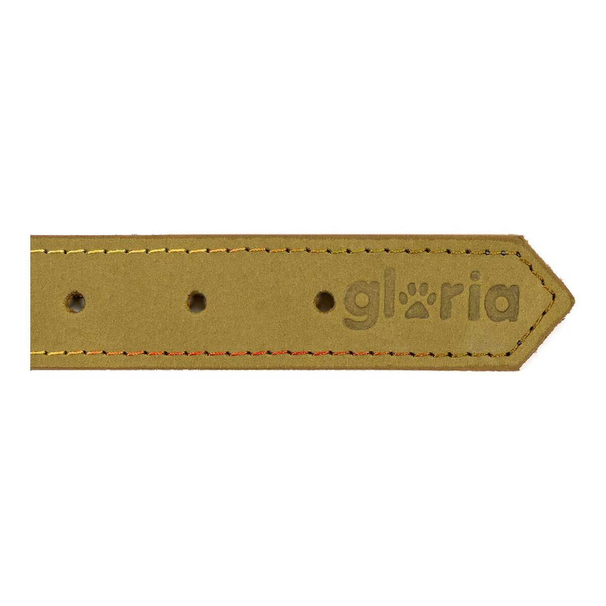 Ogrlica za pse Gloria Oasis Zelena (65 x 3 cm)